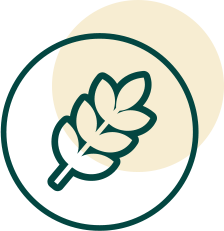 Gluten Free Icon